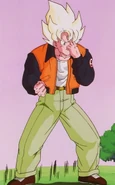 Shunkanido9