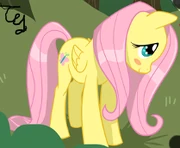 Fluttershyoak