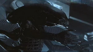 Xenomorph Slider