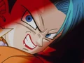 Images (47)