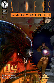 367330-21239-128542-1-aliens-labyrinth super