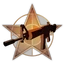 Perk steady aim 256 pro