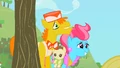 Mr. & Mrs. Cake high hopes S2E13.png