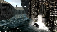 Riften (10)