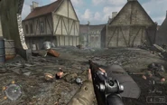 Rhgun31