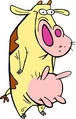 Cow.jpg