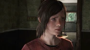 Ellie12
