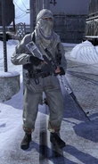 Winterul