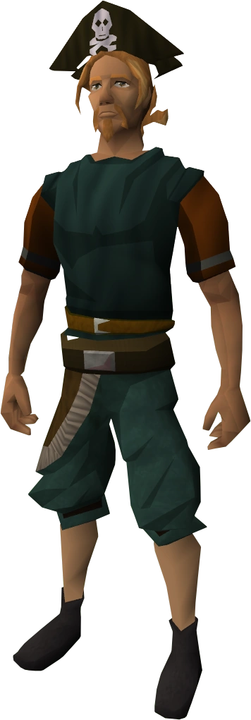 Pirate's hat equipped