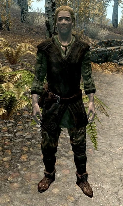 Aspiring mage