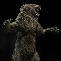 Bear