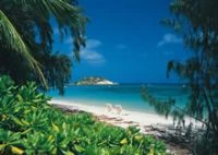 Lizard island