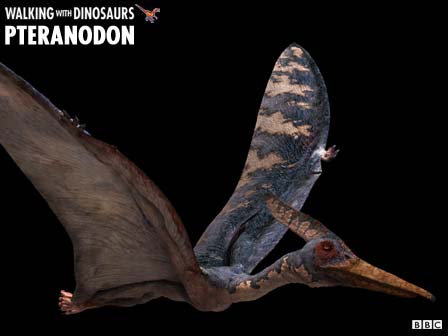 biggest pteranodon