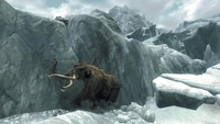 Frozenmammoth