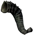 Horn Jurgen.png