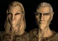 SepLnUp Altmer b1&c1.png