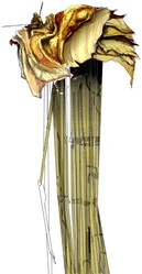 SiltStriderPaint