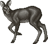 BlackDeerF