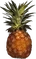 HO Tut Pineapple-icon