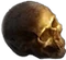 HO Tut Skull-icon