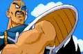 Nappa(ISGD)