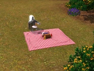 Ghost picnic