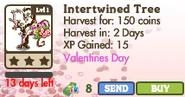 Intertwined Tree Market Info