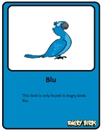 Blu-card