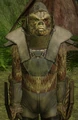 Krepauk-SWG.jpg