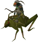 Locust rider