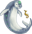 DugongAdult