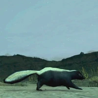 Skunk-by-Armadillo-01