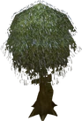 Dramen tree