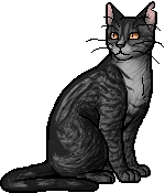 Webfoot.warrior.png