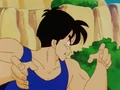 Yamcha16