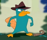 Perry!.png