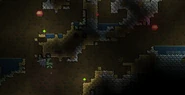 Gastropods underground