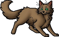 Beechfur (RC).apprentice