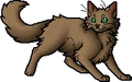Beechfur (RC).apprentice.png