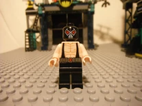 6860RevNCustoms 016