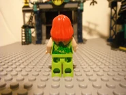 6860RevNCustoms 020