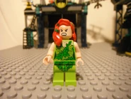 6860RevNCustoms 022