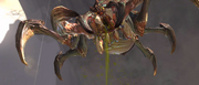 Broodling