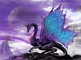 ButterflyDragon