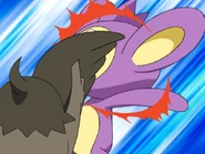 Ash Starly Wing Attack