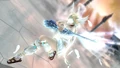 Elysium2