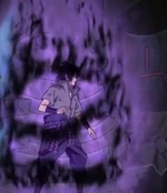Amaterasu Shield