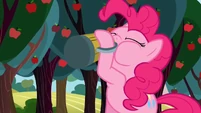 Pinkie Pie drinking cider S2E15