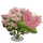 Pink Smoke Tree-icon