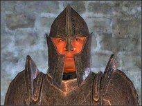 Nemesisx TESIVGuard